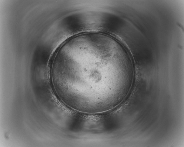 X0000101960835200808011106