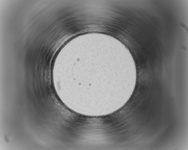 X0000101960836200808011106