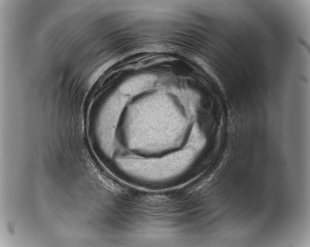 X0000101960837200808011106