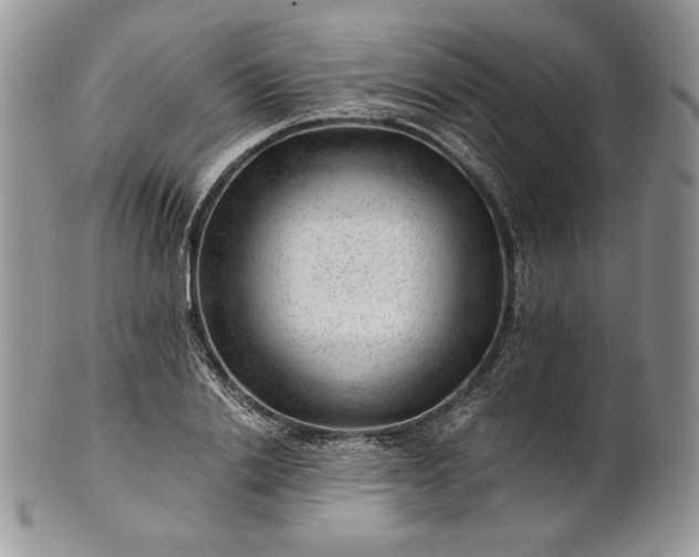 X0000101960838200808011106