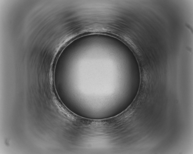 X0000101960840200808011106