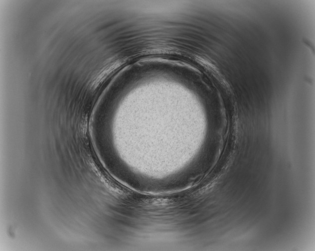 X0000101960841200808011106