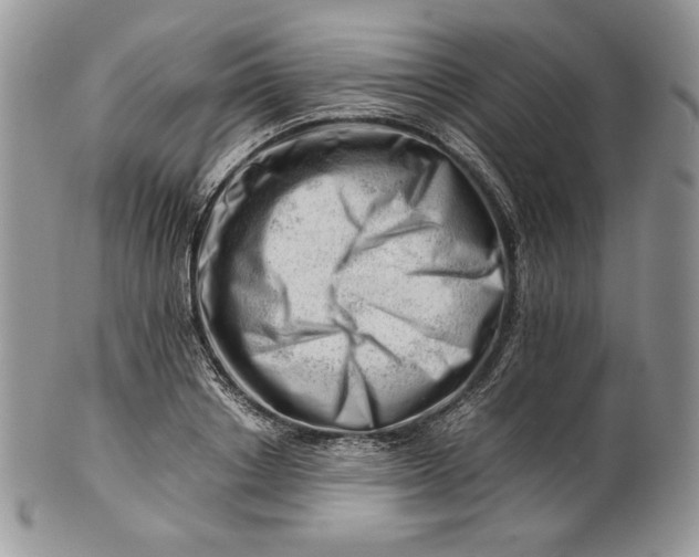 X0000101960842200808011106