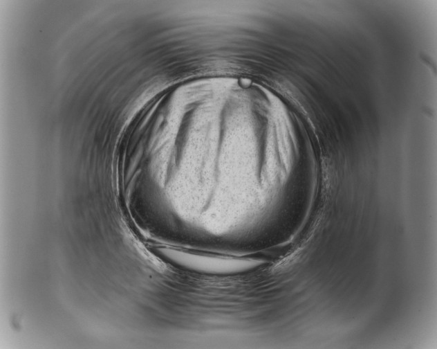 X0000101960843200808011106