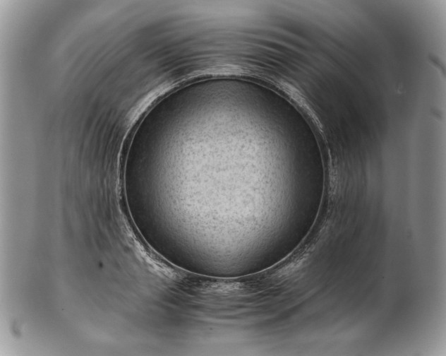 X0000101960845200808011106