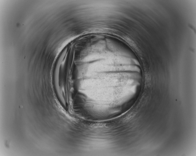 X0000101960846200808011106