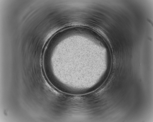 X0000101960847200808011106