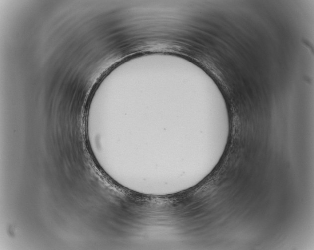 X0000101960848200808011106