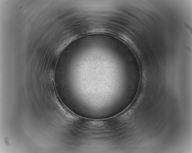 X0000101960849200808011106