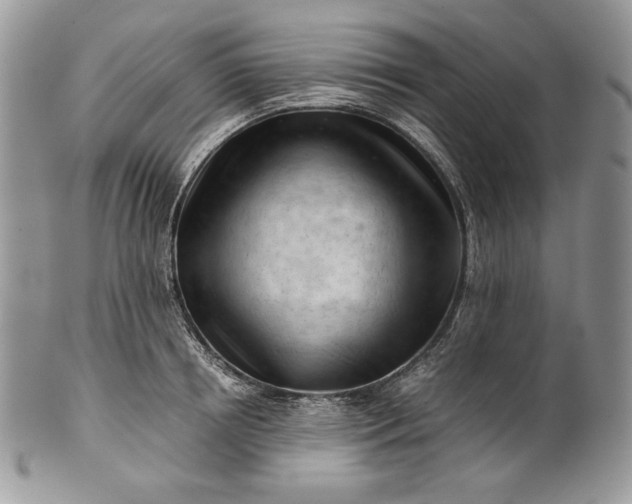 X0000101960850200808011106