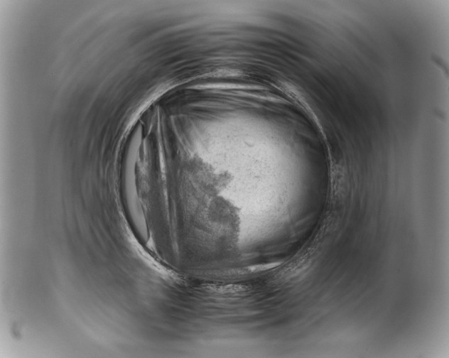 X0000101960851200808011106