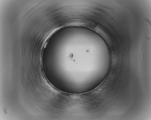 X0000101960852200808011106