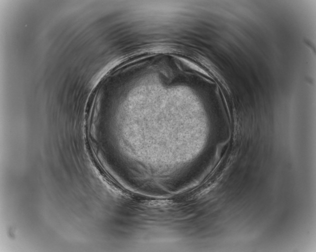 X0000101960853200808011106