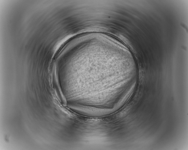 X0000101960854200808011106