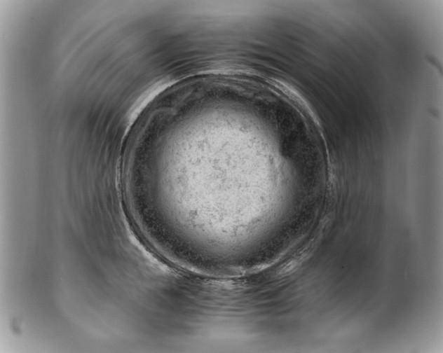 X0000101960855200808011106