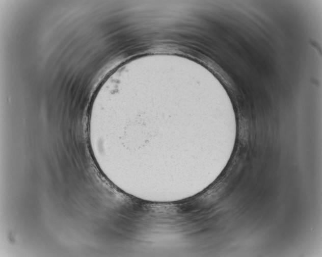 X0000101960856200808011106