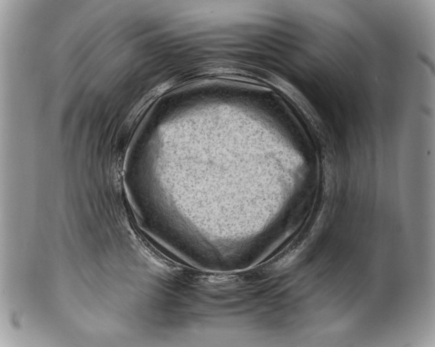 X0000101960857200808011106