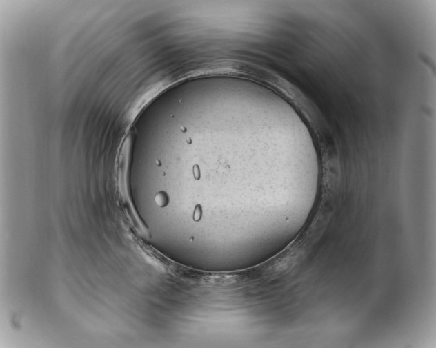 X0000101960858200808011106