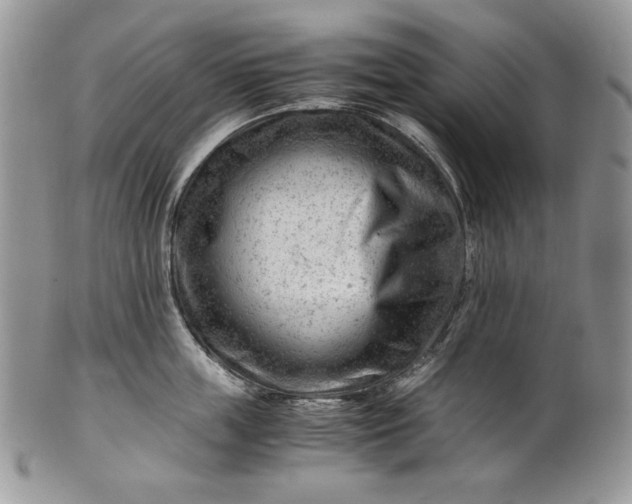 X0000101960859200808011106