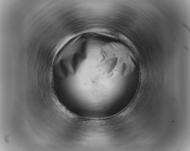 X0000101960860200808011106