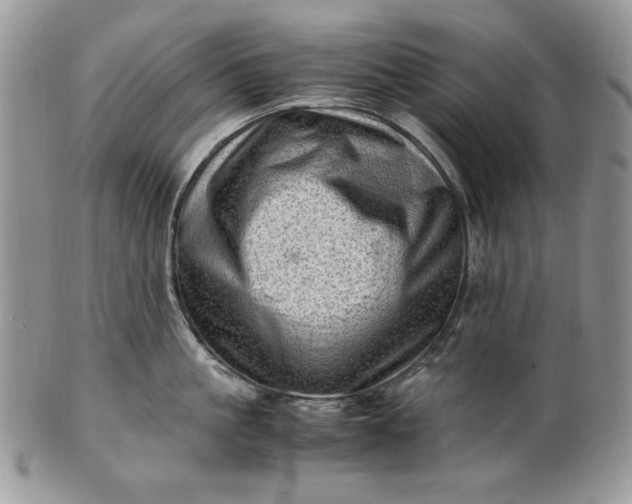 X0000101960861200808011106