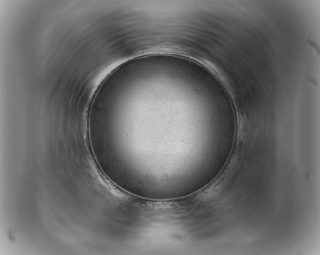 X0000101960862200808011106