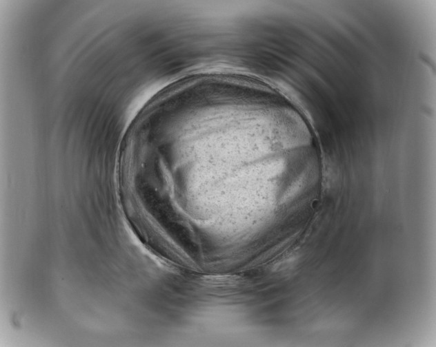 X0000101960863200808011106