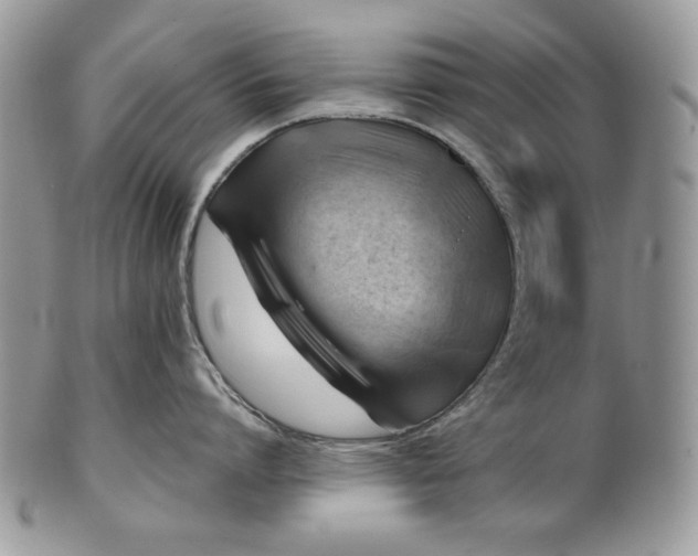 X0000101960864200808011106