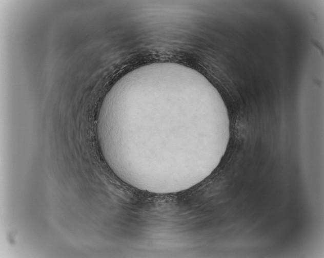 X0000101960865200808011105