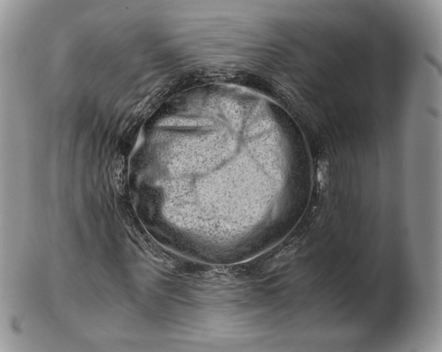 X0000101960867200808011105