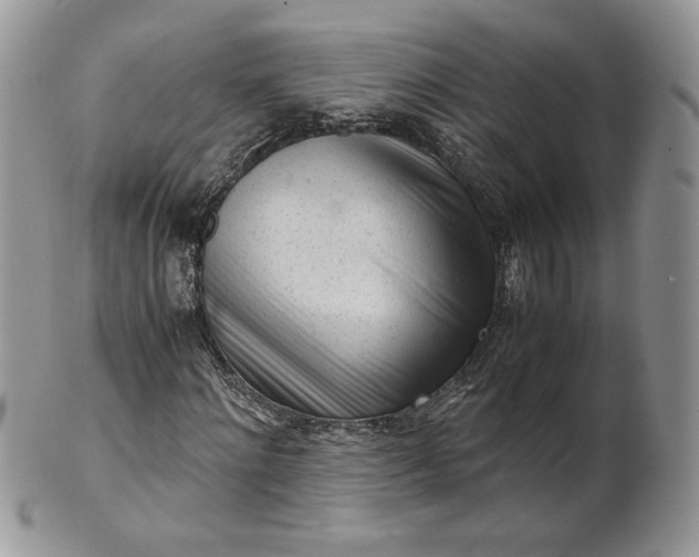 X0000101960868200808011105