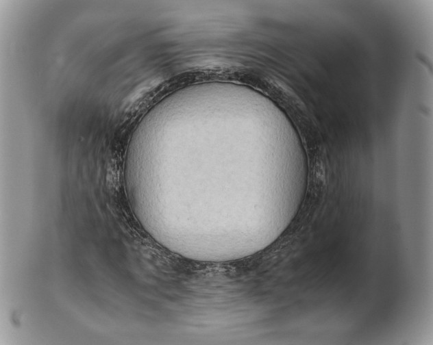 X0000101960869200808011105