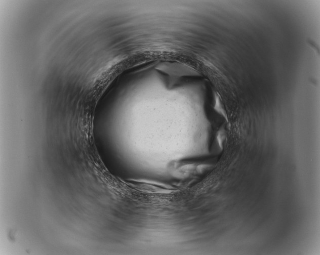 X0000101960870200808011105