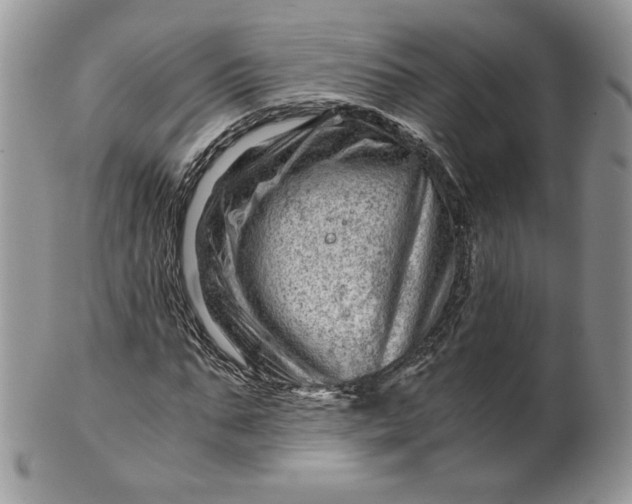 X0000101960871200808011105