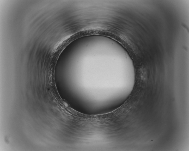 X0000101960872200808011105