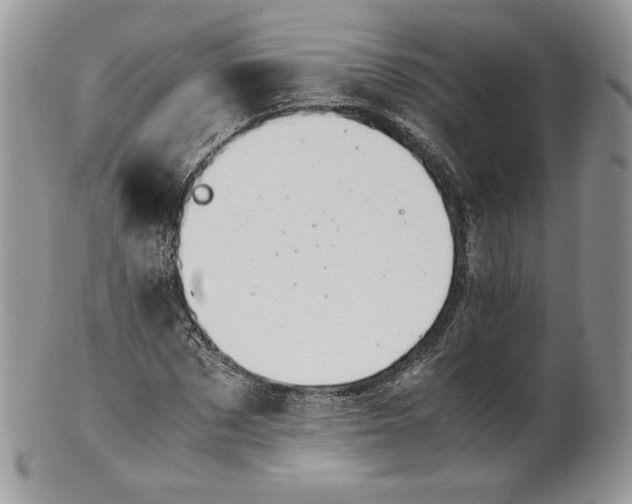 X0000101960873200808011105