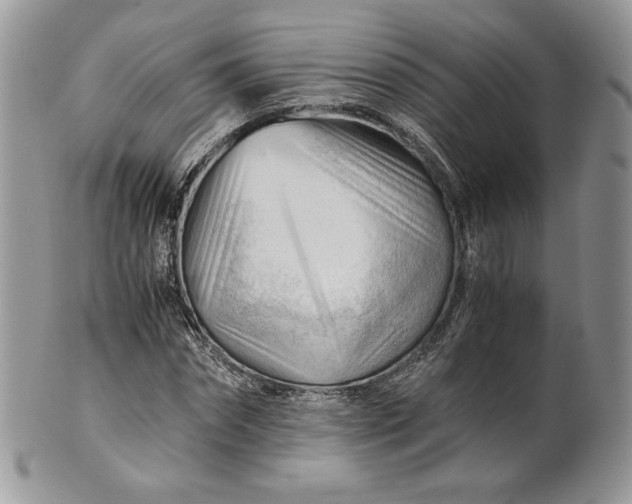 X0000101960874200808011105