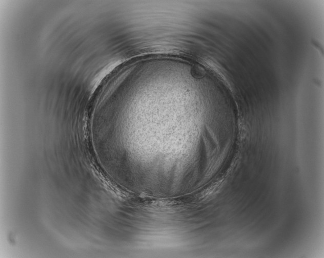 X0000101960875200808011105