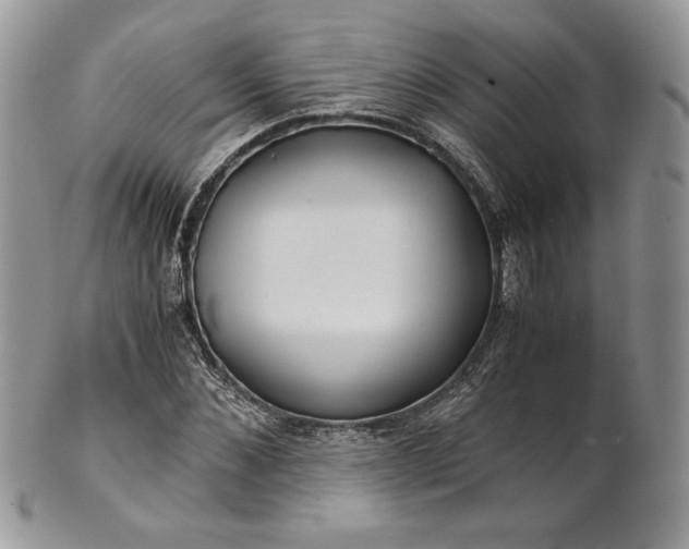 X0000101960876200808011105