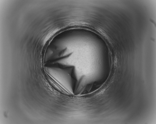 X0000101960877200808011105