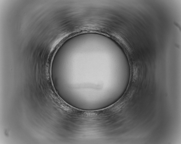 X0000101960878200808011105