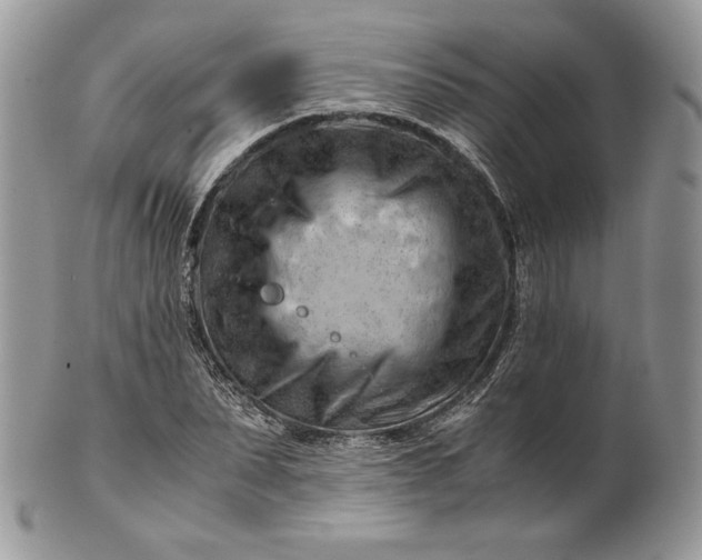 X0000101960879200808011105