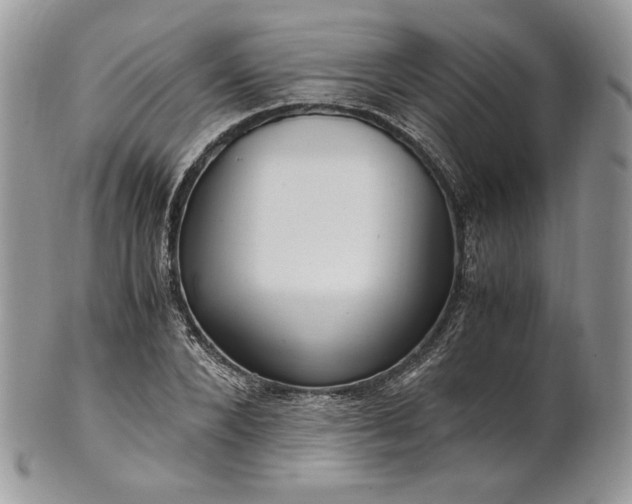 X0000101960880200808011105