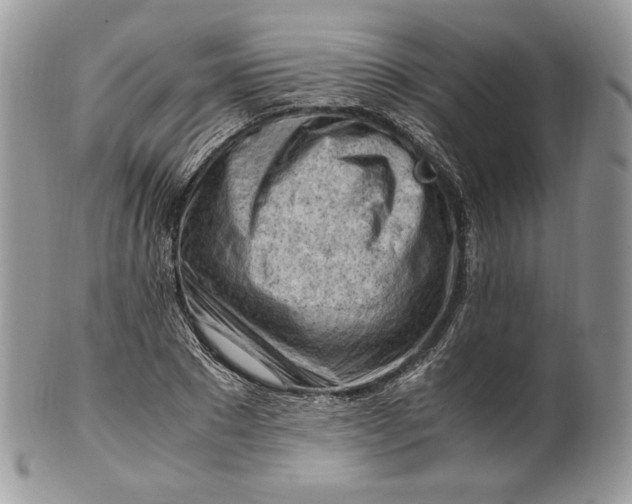 X0000101960881200808011105