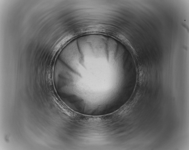 X0000101960882200808011105