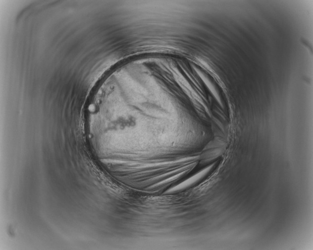 X0000101960883200808011105