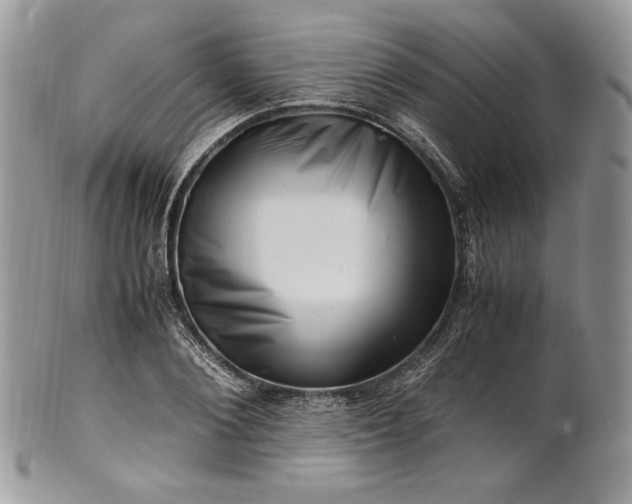 X0000101960884200808011105