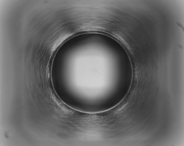 X0000101960885200808011105