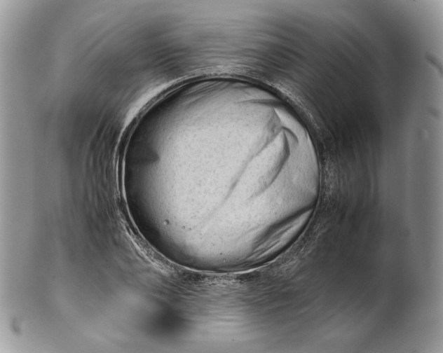 X0000101960886200808011105