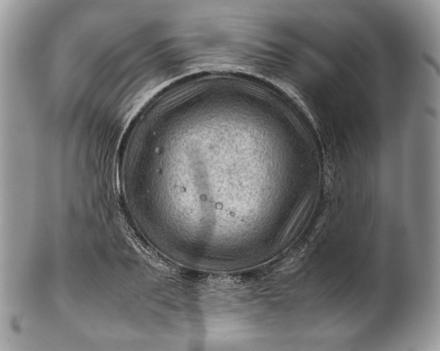 X0000101960887200808011105